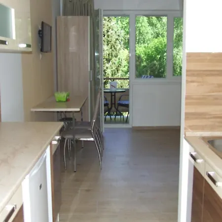 Studio In Balaton 33188 *